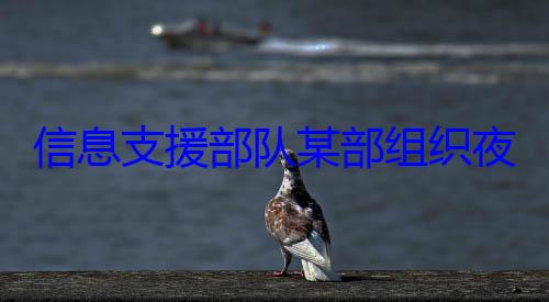 信息支援部练图夜间修理训队某部组织