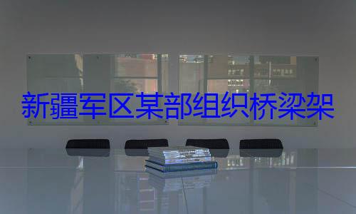 新疆军区某图部组织桥梁架设训练