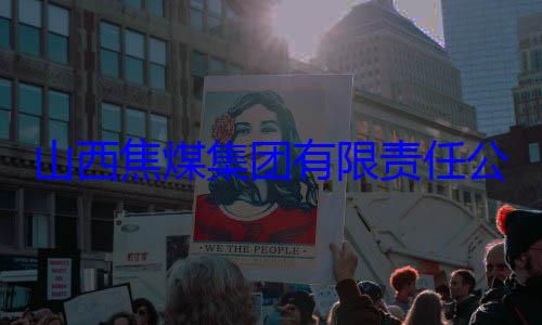 团有限责任公司原副总查山西焦煤集经理杨新华接受审查调